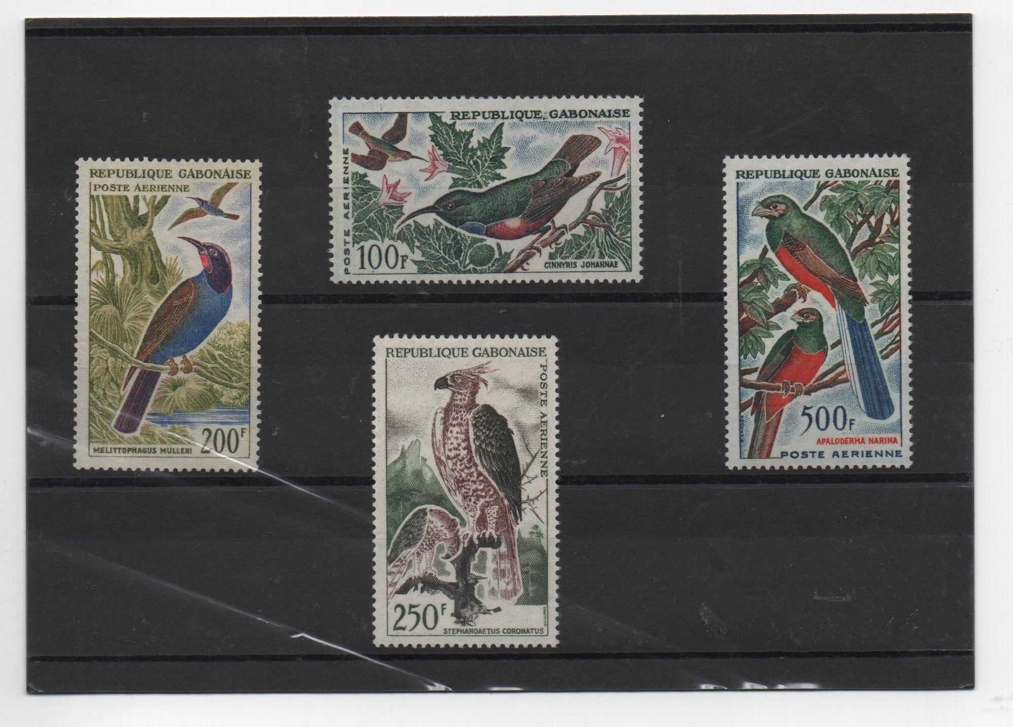 REPUBLICA GABONESA DEL AÑO 1963 PAJAROS